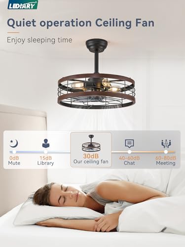 Walnut 20 Inch LEDIARY Caged Ceiling Fan with Light & Remote Control