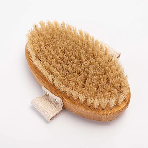 Dry Brushing Body Brush Set for Skin Exfoliation & Toxin Removal - Long Handle Back & Face Brush Bundle