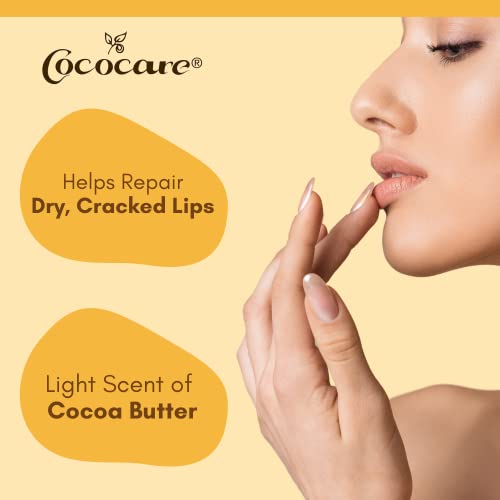 Cococare Cocoa Butter Lip Balm Set - 24 Pieces, Moisturizing Lip Care