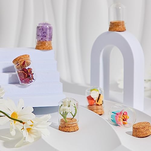 Mini Glass Cloche Bell Jars Set of 100 - 8ml with Cork Bases