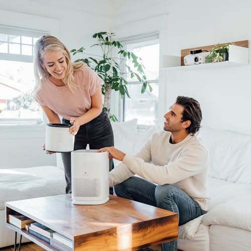 Medify MA-14 White Medium Room Air Purifier for Smoke, Odors, Pollen — 470 sq ft