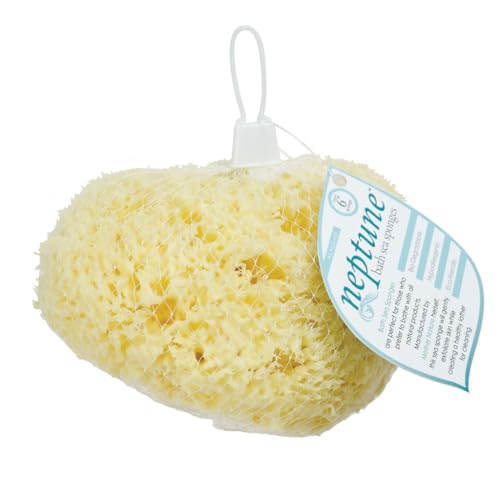 Renewable Sea Wool Sponge, Hand Cut, Large, Approx. 6-7"