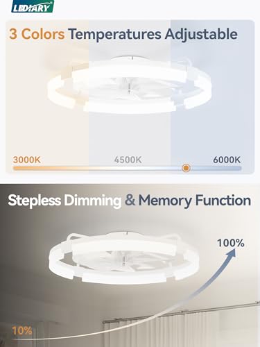 24-Inch Ceiling Fan with Lights - Low Profile Flush Mount with Remote & App Control - White, Variation of THIS listing