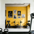 Silver Home Gym Wall Mirror 50x25 Inches - 2PCS Workout Mirrors for Fitness Room