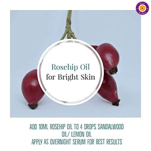 d?ve herbes Rosehip Oil (Rosa rubiginosa) | Cold Pressed | Pure | Natural | Undiluted | For Diluting Essential oils | For Skin & Massage | Non-Sticky| Lightweight| Men & Women | 50ml (1.69 oz)