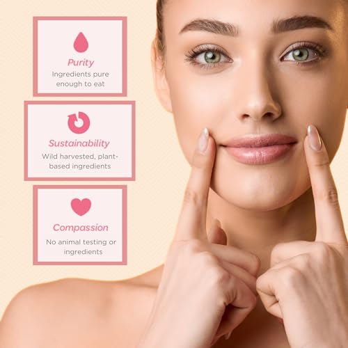 Ellovi Natural Lip Butter Lip Balm - Vanilla - Pure Enough to Eat - Made With Just 6 Vegan Ingredients - 100% Natural & Organic Moisturizing Lip Care for All Day Hydration (4-Pack)