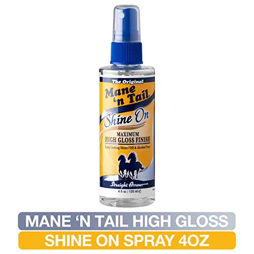 Hair Shine Spray - High Gloss, Detangler & Frizz Control for All Hair Types 4oz