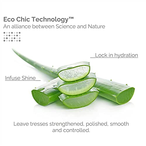 Leave-In Moisture Conditioner 8.5oz - Pack of 3, Weightless & Hydrating