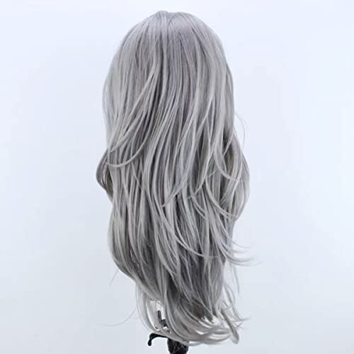 Silver Grey Lace Front Wigs for Women Long Natural Wave Heat-Resistant Synthetic Hair - COCOFANS Variation: Silver Grey_SW