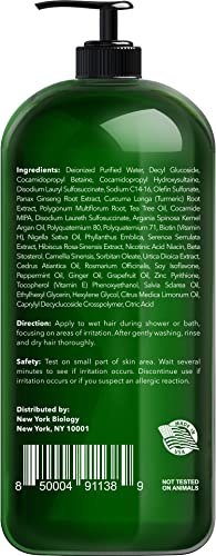 New York Biology Tea Tree Shampoo 16.9 Fl Oz Pack of 2 - Hydrating, Sulfate-Free Hair Care for Men & Women