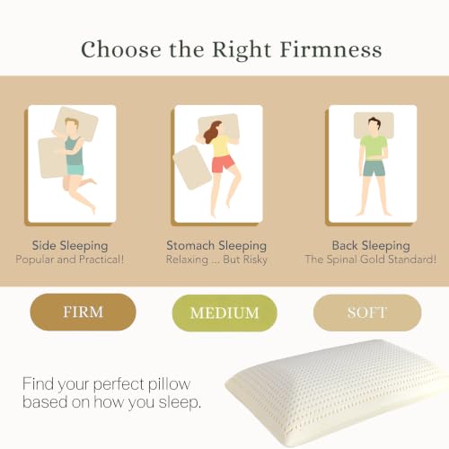 Premium Talalay Latex Pillow - Standard Mid Loft, Natural Support for Side & Back Sleepers