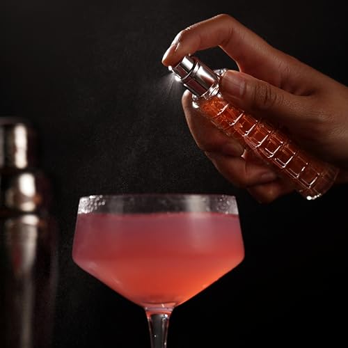 Viski Martini Atomizer Perfect for Vermouth or Bitters, Travel Spray Bottle, Travel Fragrance, DIY, Refillable Bar Sprayer, Stainless Steel, Bar Accessory, 30 ml.