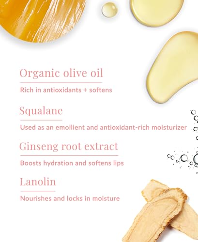 Ultra-Moisturizing Lip Balm 4-Pack - Hydrating Organic Olive & Aloe for Dry Lips - Variation of 1 Count Pack