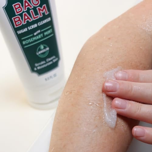 Bag Balm Vermont Moisturizing Body Wash with Shea & Jojoba — 6 Fl Oz Pack of 2 - Sugar Scrub Variation
