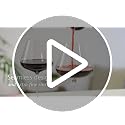 Burgundy Wine Glasses Set of 2 - Large Bowl Red Wine Glasses for Pinot Noir & Burgundy - Lead-Free Crystal Stemware