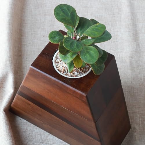 Walnut Urn for Ashes with Removable Planter Lid – Solid Wood Memorial Keepsake
