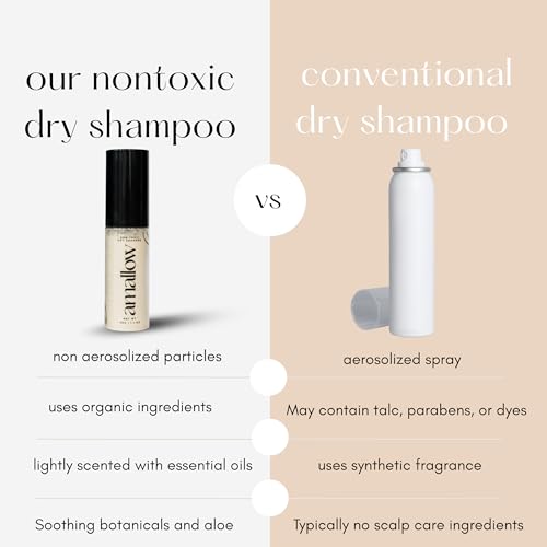 Non-Toxic Dry Shampoo Powder with Organic Ingredients – Travel-Friendly, No Residue