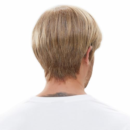 STfantasy Ombre Brown Men’s Wig 12in - Straight Layered Short Hair for Cosplay