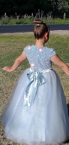 Baby Blue Flower Girl Dress with Sequins Tulle Puffy Skirt - Floor Length Wedding & Party Gown