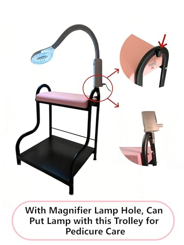 QUEESALN Nude Pink Foot Spa Trolley Cart with Magnifier Lamp & Foot Rest for Pedicure & Manicure
