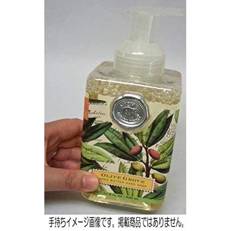 Michel Design Works Foaming Hand Soap, Oatmeal & Honey