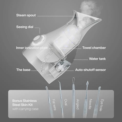 Nano Ionic Facial Steamer & Humidifier with Precise Temp Control - Silver - 3-in-1 Spa-Quality Skin Care with Bonus 5-Piece Stainless Steel Blackhead Extractor Kit