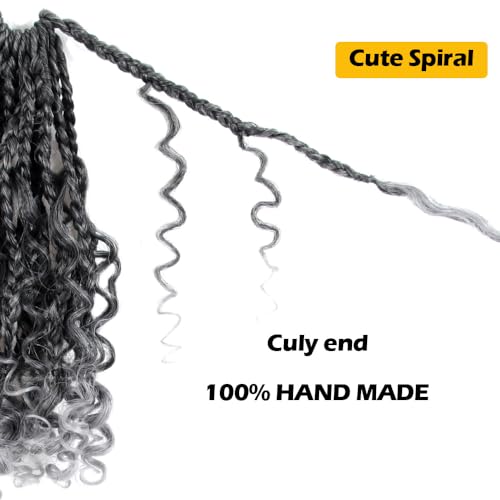10 Inch Goddess Box Braids Crochet Hair - Ombre Grey, 9 Pack for Black Women