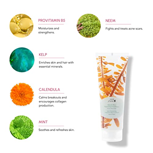 8 Fl Oz Volumizing Conditioner with Kelp & Mint - Natural Hair Thickening & Shine