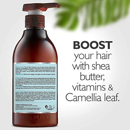 Purple Toning Shampoo with Shea Butter - 16.9 Fl Oz - Neutralizes Yellow & Brass Tones - Cruelty-Free Hair Care