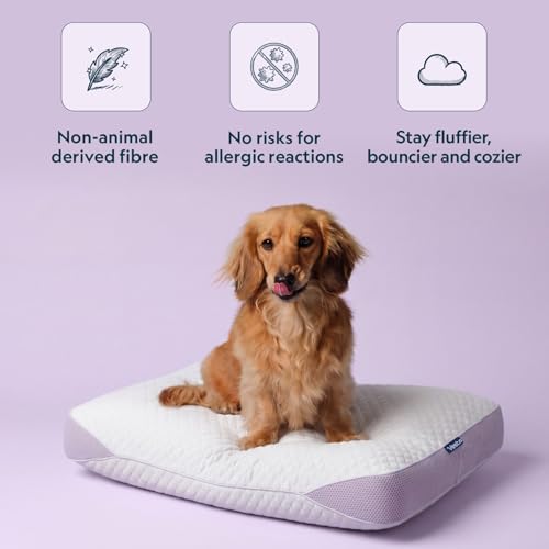 Vesta PurpleZen Eco-Luxe Down Pillow Medium Profile 4.5" Supportive Plush Support for Back Stomach or Side Sleepers