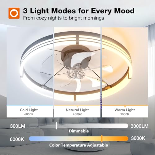 addlon 24-Inch Black Low Profile Ceiling Fan with Lights & Remote, Striped
