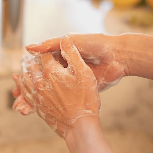 La Compagnie de Provence Fig of Provence Liquid Soap 10 Fl Oz Refill - French Natural Hand & Body Wash
