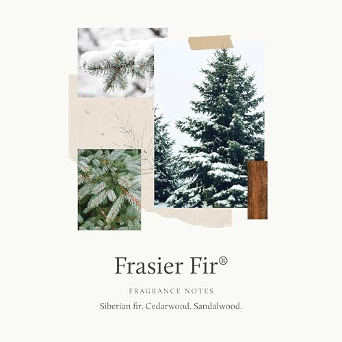 Frasier Fir Holiday Gift Set with Hand Cream, Candle & Soap - Scented Home Fragrance