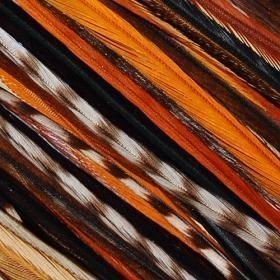 Feather Hair Extension – Rainbow Remix, Five Genuine Rooster Feathers, All Bonded Together at the Tip, Includes 2 Silicone Micro Beads, Ranging From 6 to 12 Inches in Length