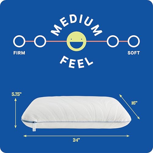 2 Pack Queen Size Memory Foam Cooling Pillows with Surface Guard Tech