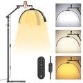Foldable Floor LED Lamp for Eyelash Extensions - Half Moon Lash Light Black