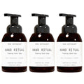 Aromatherapy Foaming Hand Soap Set - Aloe, Eucalyptus & Lavender, 3 Pack - 11.5 oz