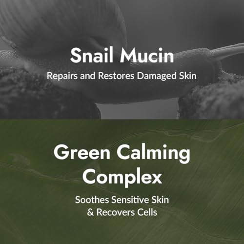 MIZON All in One Snail Repair Cream 2.53 Fl Oz - Hydrating, Anti-Aging & Skin Regeneration
