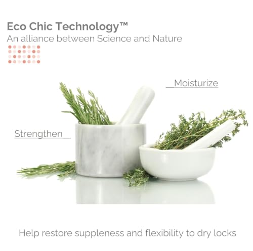 Rosemary Hydrating Clarifying Shampoo 128 Oz - Eco Chic 50:50 Balance - Daily Use, Color Safe, Vegan