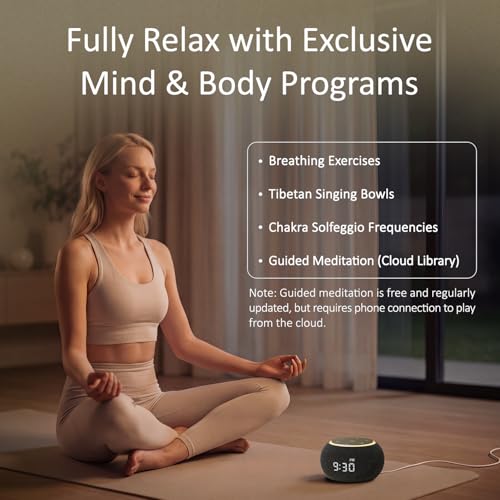 Hotmoon Luna Pro Smart Sound Machine Black Medium - 507 Relaxing Sounds & Dual Alarm
