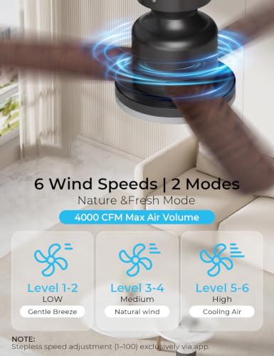 42 Inch RGBW Smart Ceiling Fan Light with Remote - Black + Walnut, Flush Mount