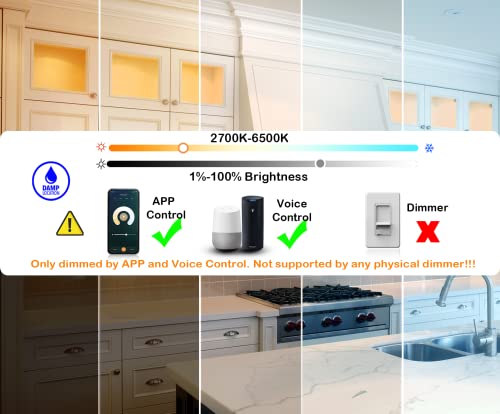3 Inch WiFi RGB+CCT Recessed LED Lights - Smart Color Changing Downlights with Alexa & Google Compatibility