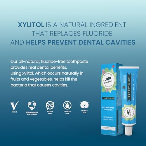 Frosty Mint Natural Organic Vegan Toothpaste - Fluoride & Gluten Free, 75ml, 3 Pack