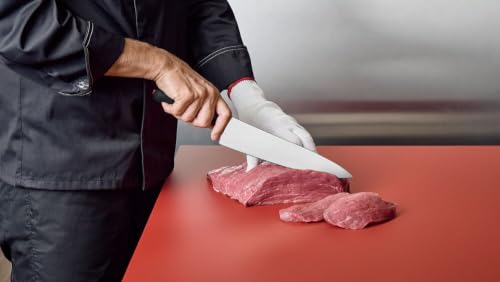 10-Inch Chef's Knife with Non-Slip Ergonomic Handle - Kitchen Utensil