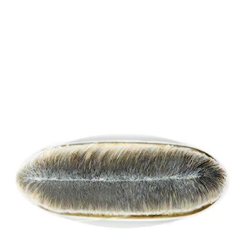 Mac 190 Foundation Brush