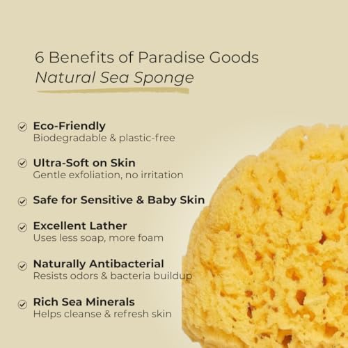 Sea Sponge for Bathing 5 inch-Softly Rough but Not Skin Irritating ? Yellow, Natural Bath Sponge-Renewable Resource ? Natural Sponge for Body and Shower-Lathers & Washes Really Well