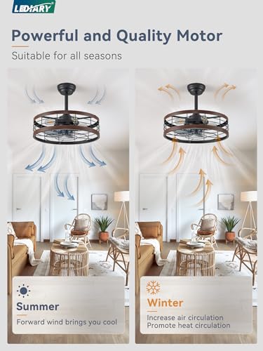 Walnut 20 Inch LEDIARY Caged Ceiling Fan with Light & Remote Control