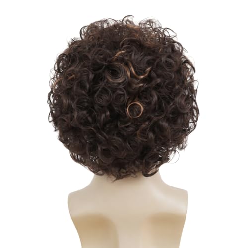 Dark Brown Curly Afro Wig Short Fluffy Men’s Cosplay Wigs - Brown Mixed Blonde Variation