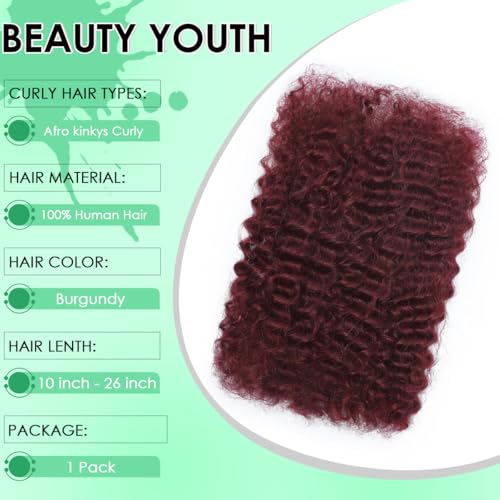 Leximi 14 Inch Burgundy Human Hair for Loc Repair & Twist - 50g Bulk Afro Kinky Hair