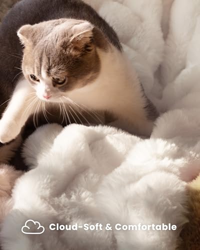 Cream White Twin Faux Fur Throw Blanket 60x80 Inches Cozy Plush Bubble Style